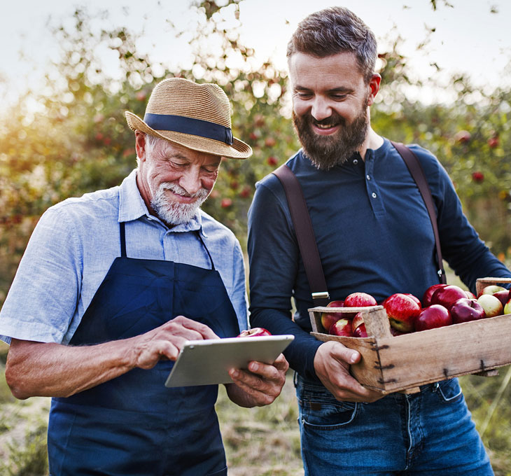 Two men standing in an apple orchard reviewing an iPad screen